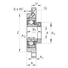 轴承座单元 PME45, 带四个螺栓孔的法兰的轴承座单元，定心凸出物，铸铁，偏心锁圈，P型密封